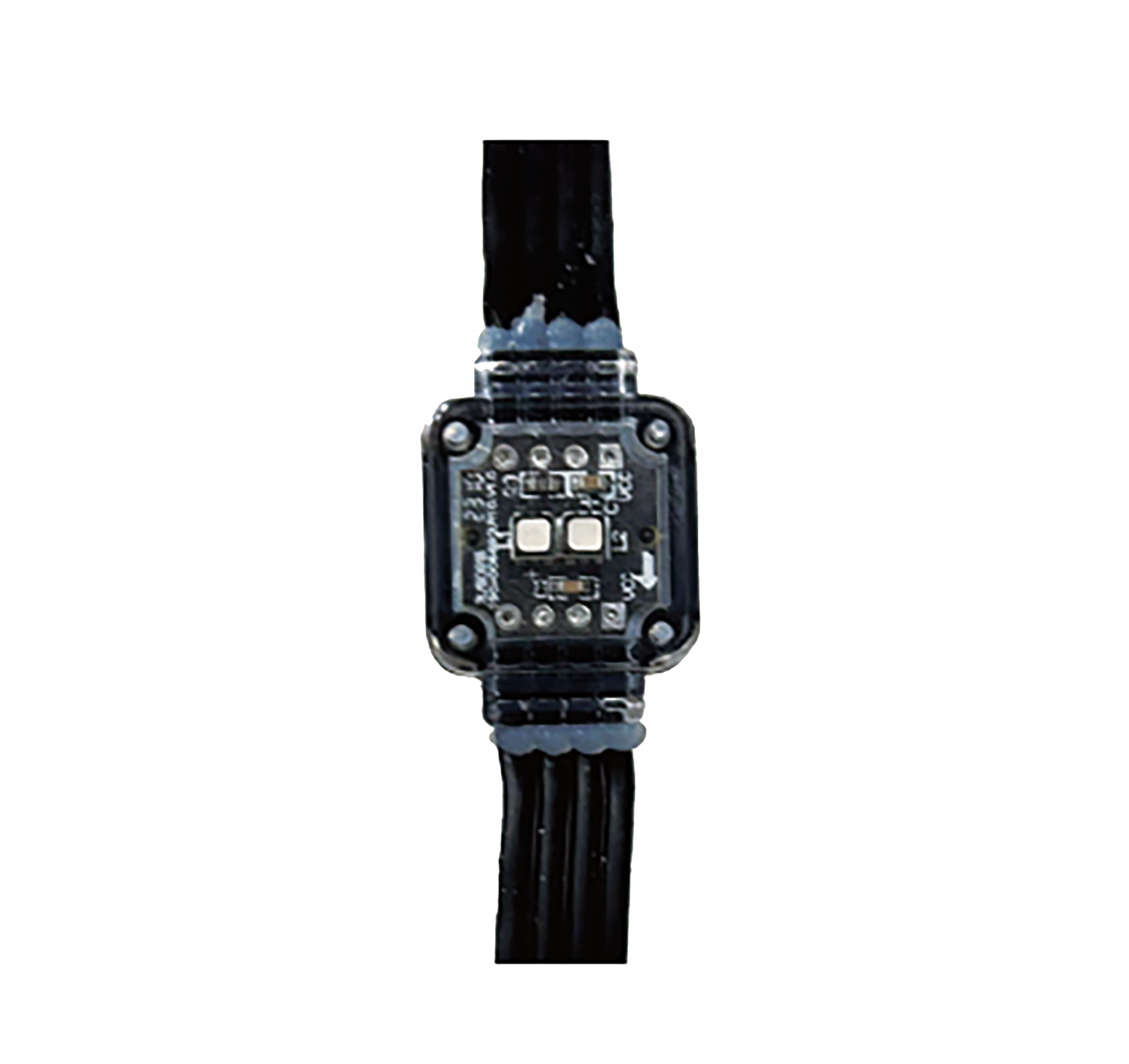 Ecodot-2 P55